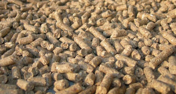 تصویر 2 از کود مرغی الکان طلایی مناسب بازسازی زمین کشاورزی